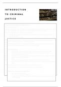 Introduction to Criminal Justice 