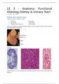 LE3 College aantekeningen Kidney Physiology (NWI-BM079) - Functional Histology and Kidney Anatomy