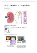 LE6 College aantekeningen Kidney Physiology (NWI-BM079) - Genetics of Ciliopathies