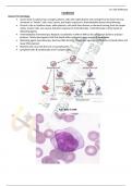 A Summary of Leukemias and Lymphomas and the Modalities of Their Treatment