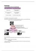 Samenvatting Pathologie VDK 2