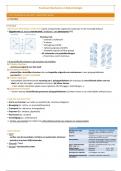 Samenvatting practicum biochemie en biotechnologie - cursus + ppt + (berekeningen) verslagen + uitleg