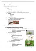 samenvatting-determineren van insecten