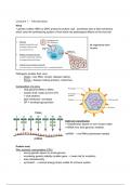 Molecular Virology - Lecture notes