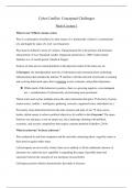Samenvatting + lecture notes -  Espionage and war in cyberspace exam 