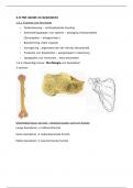 Samenvatting -  Anatomie