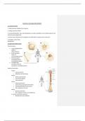 Functionele anatomie