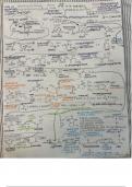 Full Combined Document of All Metabolic Pathways and Interrelationships
