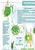 NOTES FOR RESPIRATION IN PLANTS