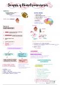 Guía de estudio completa de sinapsis y neurotransmisores 