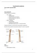 Functionele anatomie: arm, hand en pols