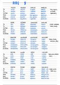 French  Verbs- Conjugation 
