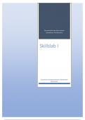 Samenvatting -  Skillslab 1