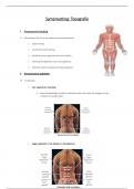 Samenvatting VZOM: Topografie (anatomie & fysiologie)