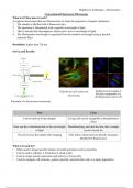 Summary Sheets for Fluorescent Microscopy Techniques