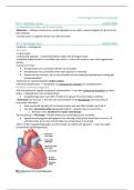 Samenvatting anatomie & fysiologie