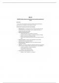 Economics chapter 1- 4 summaries 