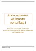 Werkcolleges Macro-Economie