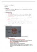 Samenvatting Anatomie en fysiologie hoofdstuk 1 en 2