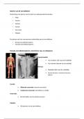samenvatting-module2 Menselijk handelen mogelijk maken: Anatomie