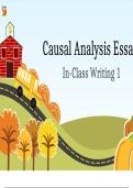 Causal Analysis Essay Writing