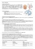 Food and Brain Health Summary