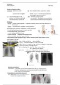 samenvatting leerpad radiologie thorax 2023/2024