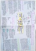 GCSE Biology (AQA Grade 9-1) Revision Poster on Topic 3 Infection and Response