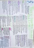 GCSE Biology Revision Posters x4