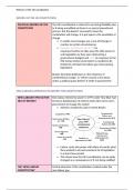 Public Law - Reform of the UK constitution revision notes (semester 1)
