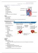 Samenvatting -  Basis tot Homeostase Cardiovasculaire systeem