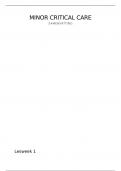 Samenvatting minor - critical care &lpar;MO18HVCC&rpar; - ProActive Nursing & ABCDE-methode