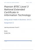 Using Social Media in Business &lpar;Assignment B&C&rpar; &lpar;Distinction&rpar;