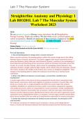 Straighterline Anatomy and Physiology 1 Lab BIO201L Lab 7 The Muscular System Worksheet 2023