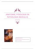 Samenvatting anatomie, fysiologie en pathologie (niveau 4) LOI
