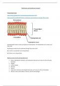 Biology ib membranes notes