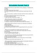 DriveSafe Permit Test 2
