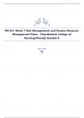 NR 631 Week 7 Risk Management and Human Resource Management Plans - Chamberlain College of Nursing&sol;Already Graded A