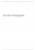 Samenvatting sociale pedagogiek