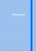 Anatomie van Plexussen