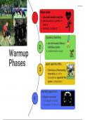 Warm up stages - muscular skeletal system