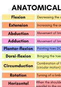 Anatomical movement definitions - muscular skeletal system