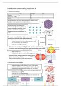 Scheikunde samenvatting hoofdstuk 1&comma;2 en 3