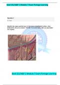 biod 151&sol;A&P 1 Module 7 Exam Portage Learning biod 151&sol;A&P 1 Module 7 Exam Portage Learning Question 1 5 &sol; 5 pts Identify the region and the layer of skin that is highlighted in blue&period; &lpar;Also indicated by the arrow&comma; below&rpar; &ast;NOTE&colon; To receive full credit you 