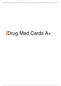 2023 Nclex Drug Cards Nursing A+