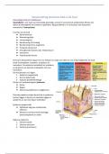 Samenvatting Testvision Blok A 'de huid'