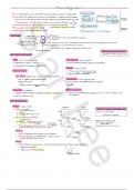 FTM2 Pharmacology Summary