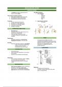 Musculoskeletal System Notes Biology