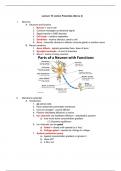 Gen Bio II: Action Potentials (Nerves 2) Notes