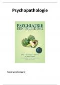 Psychopathologie social work leerjaar 2